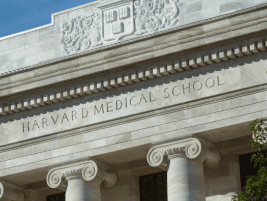 4 Elected 2022 AAAS Fellows