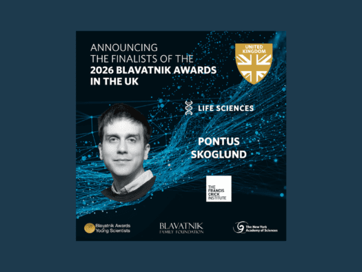 BAYS UK 2026 Finalist Pontus Skoglund 2-10-26