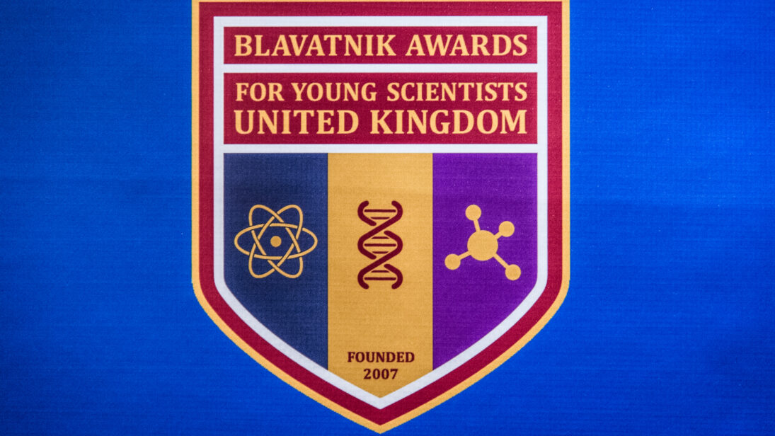 BAYS UK Banner