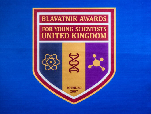 BAYS UK Banner