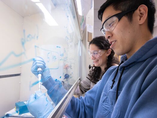 Brandeis life-sciences-photo-960-640