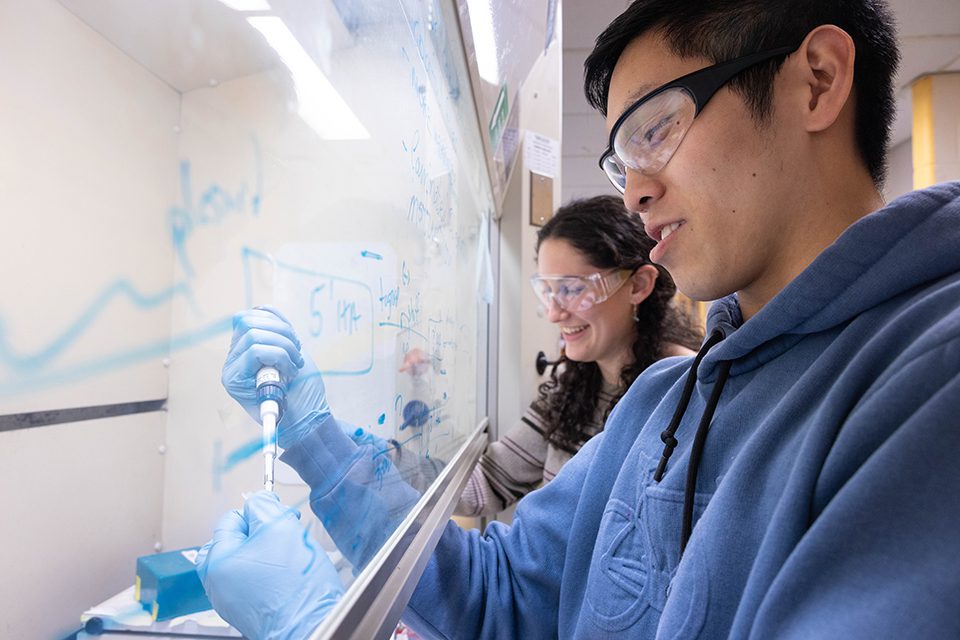 Foundation Supports Brandeis Researchers Advancing Life Sciences Ventures