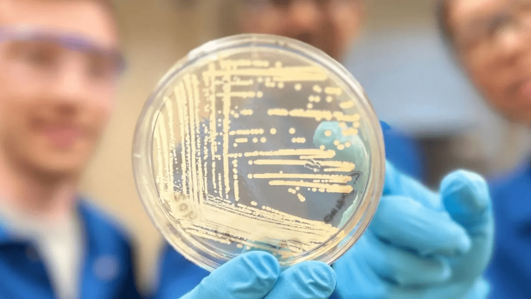 Harvard Scientists Antibiotic Breakthrough 2-28-24