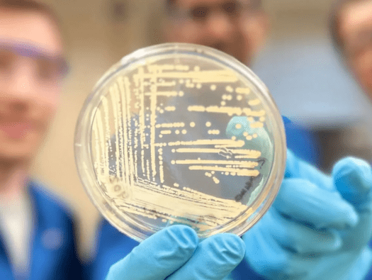 Harvard Scientists Antibiotic Breakthrough 2-28-24