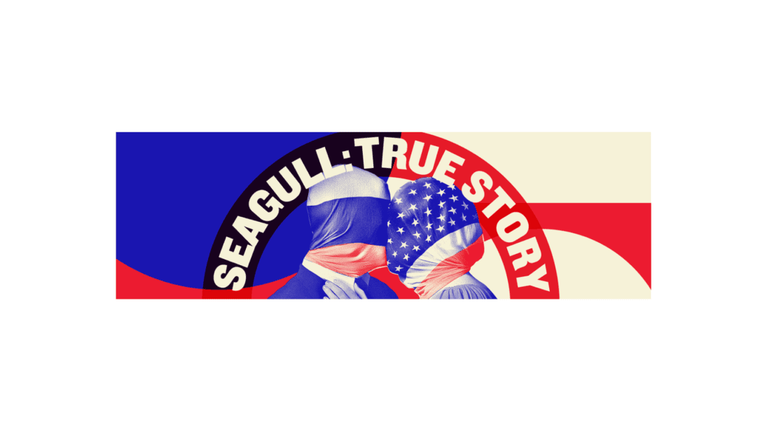 Public-Seagull_True Story (1)