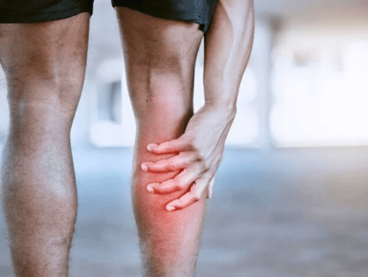 Torn Muscle Send In The Gut Microbes For Rapid Repair