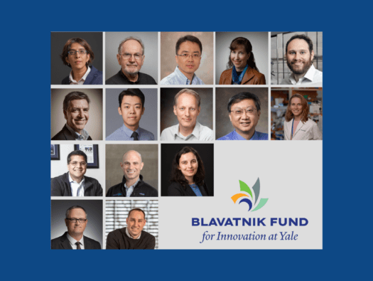 Yale Blavatnik Fund 2026 Awardees